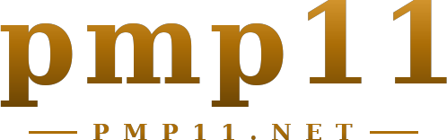 pmp11 logotipo